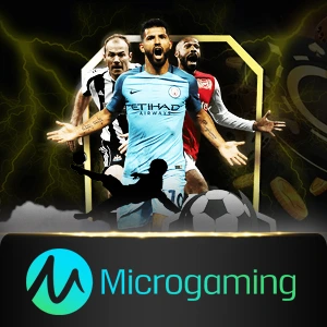 microgaming - powerplay128