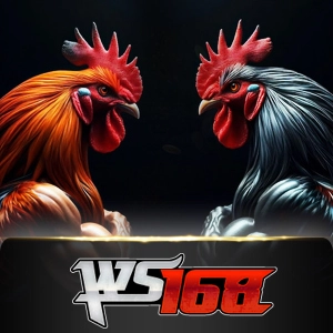 ws168 - powerplay128
